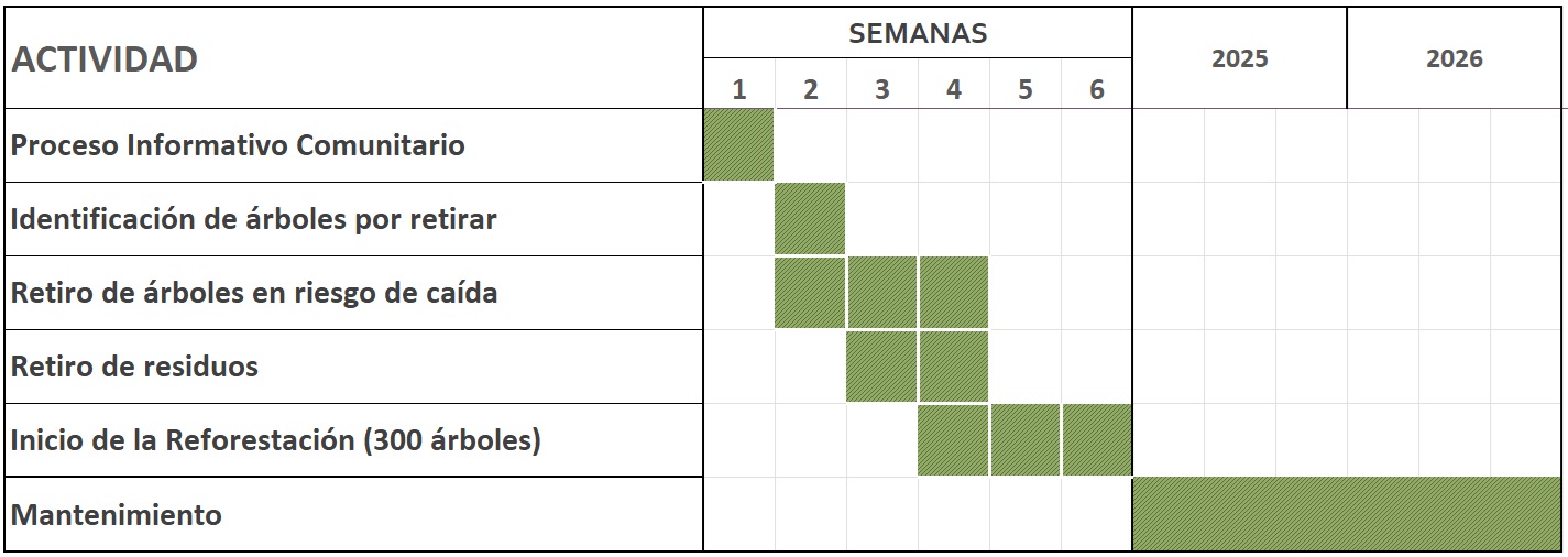 Programa Actividads PROGRAMA DE ACTIVIDADES – pic-ocotal